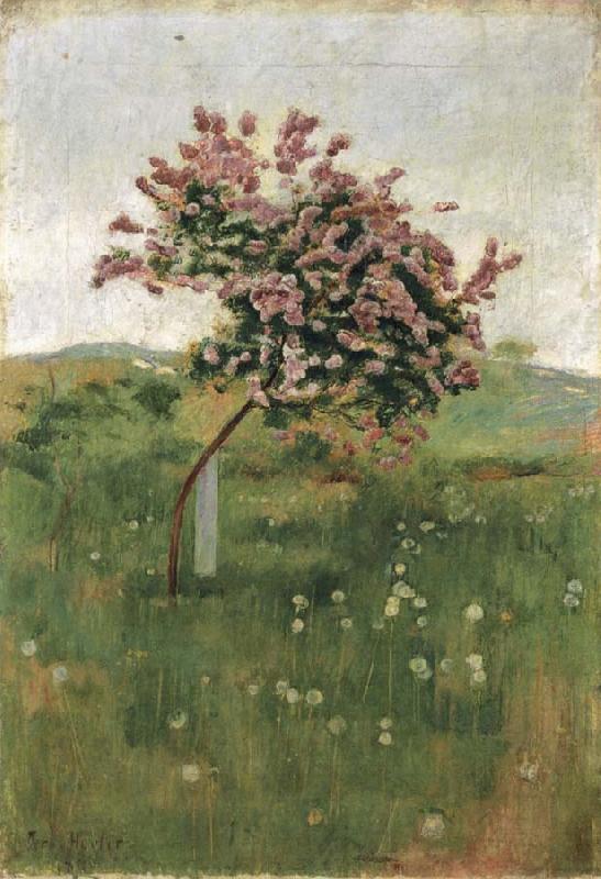 Ferdinand Hodler THe Lilac China oil painting art